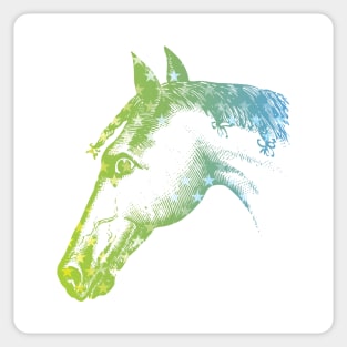 COLORFUL HORSE HEAD Sticker